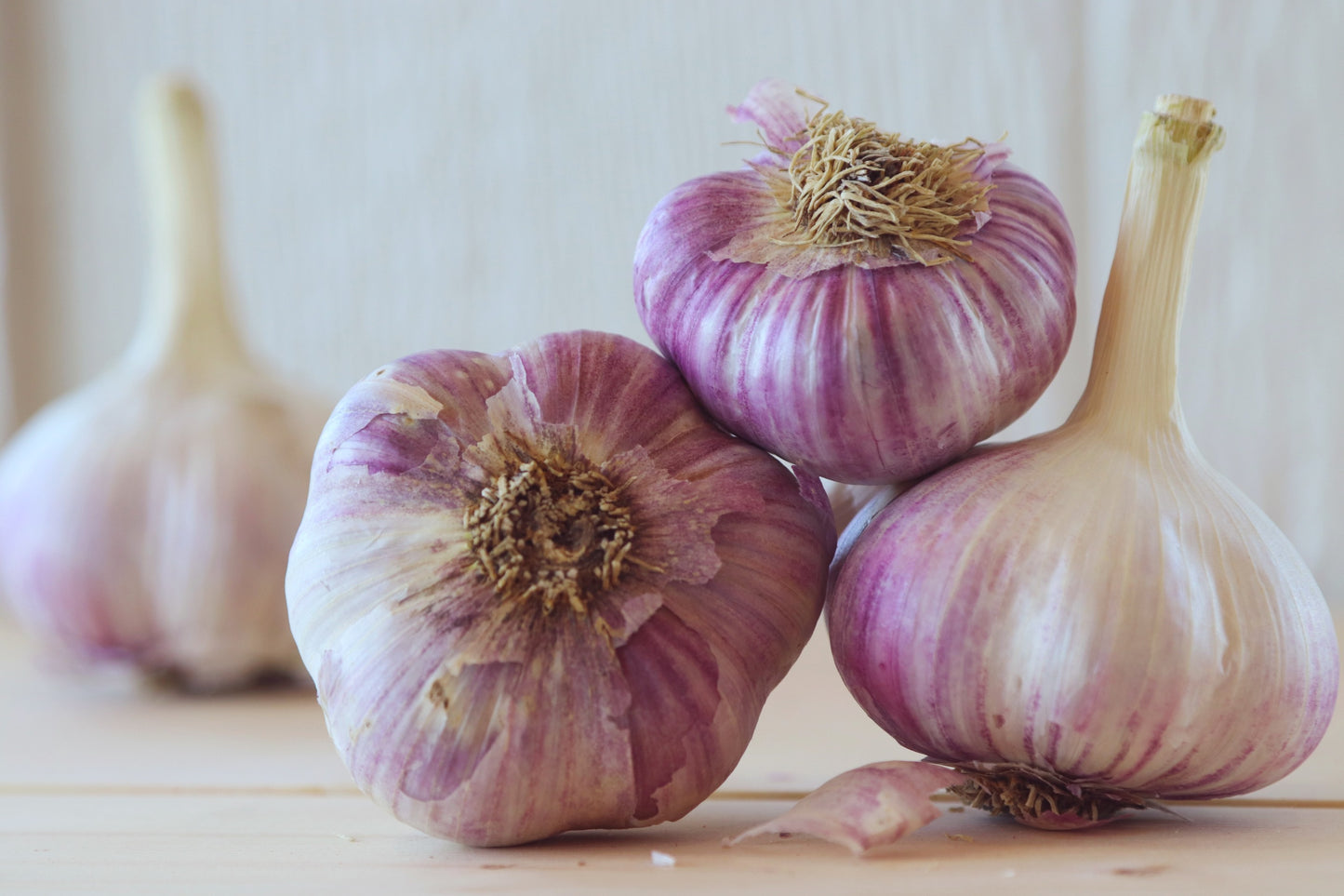 Garlic In The Raw