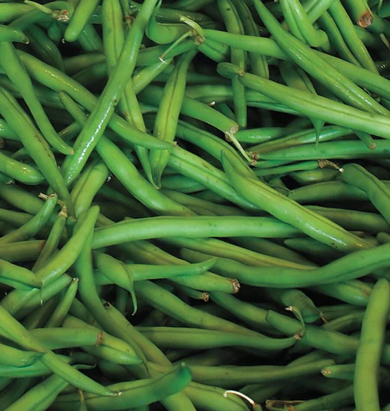 Blue Lake - Green Beans