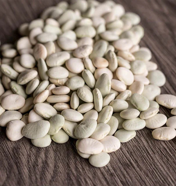 Early Thorogreen Lima Beans