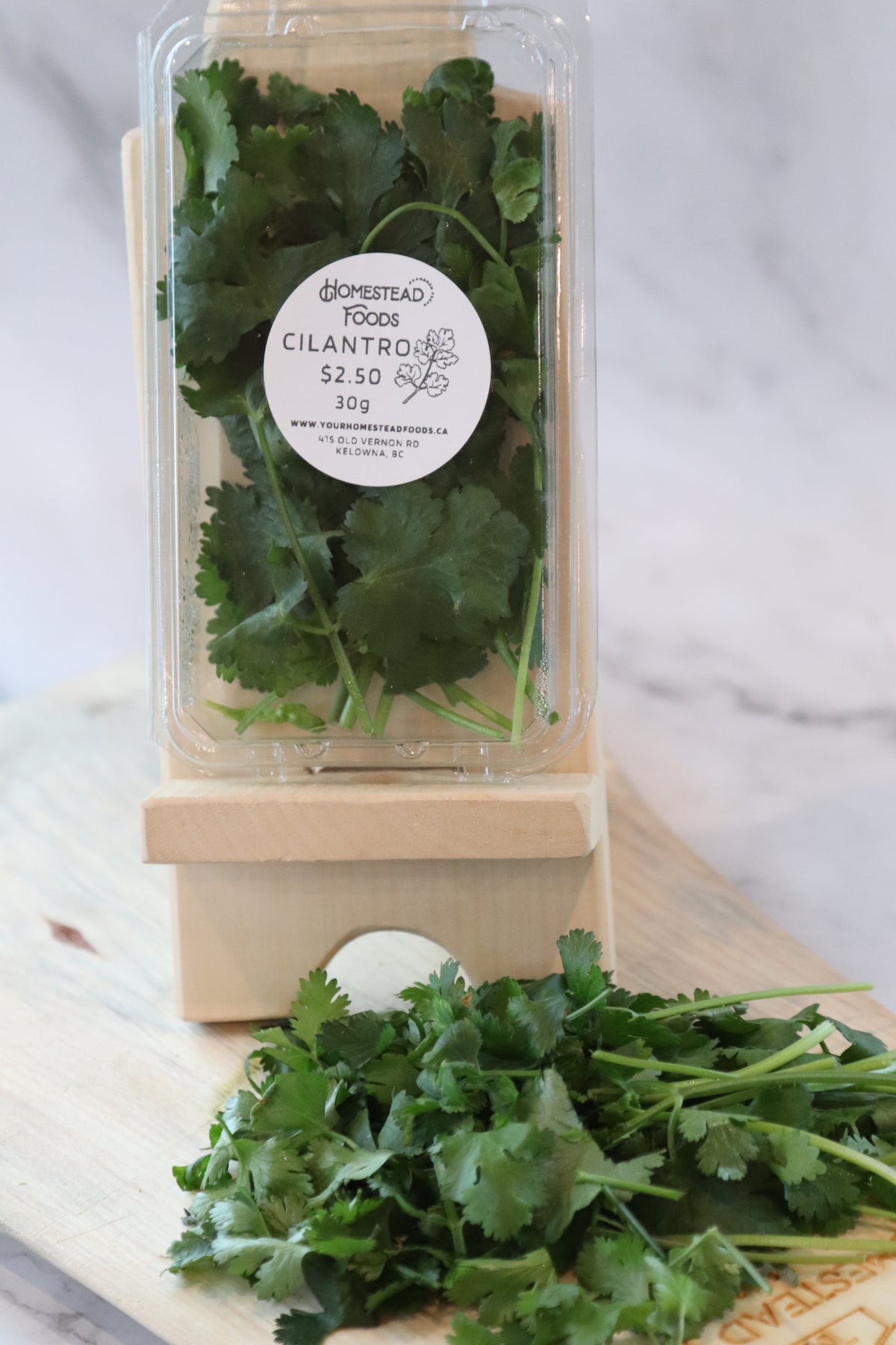 Hydroponic Grown Cilantro