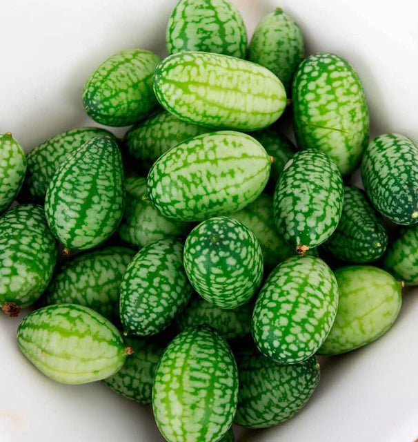 Cucamelon