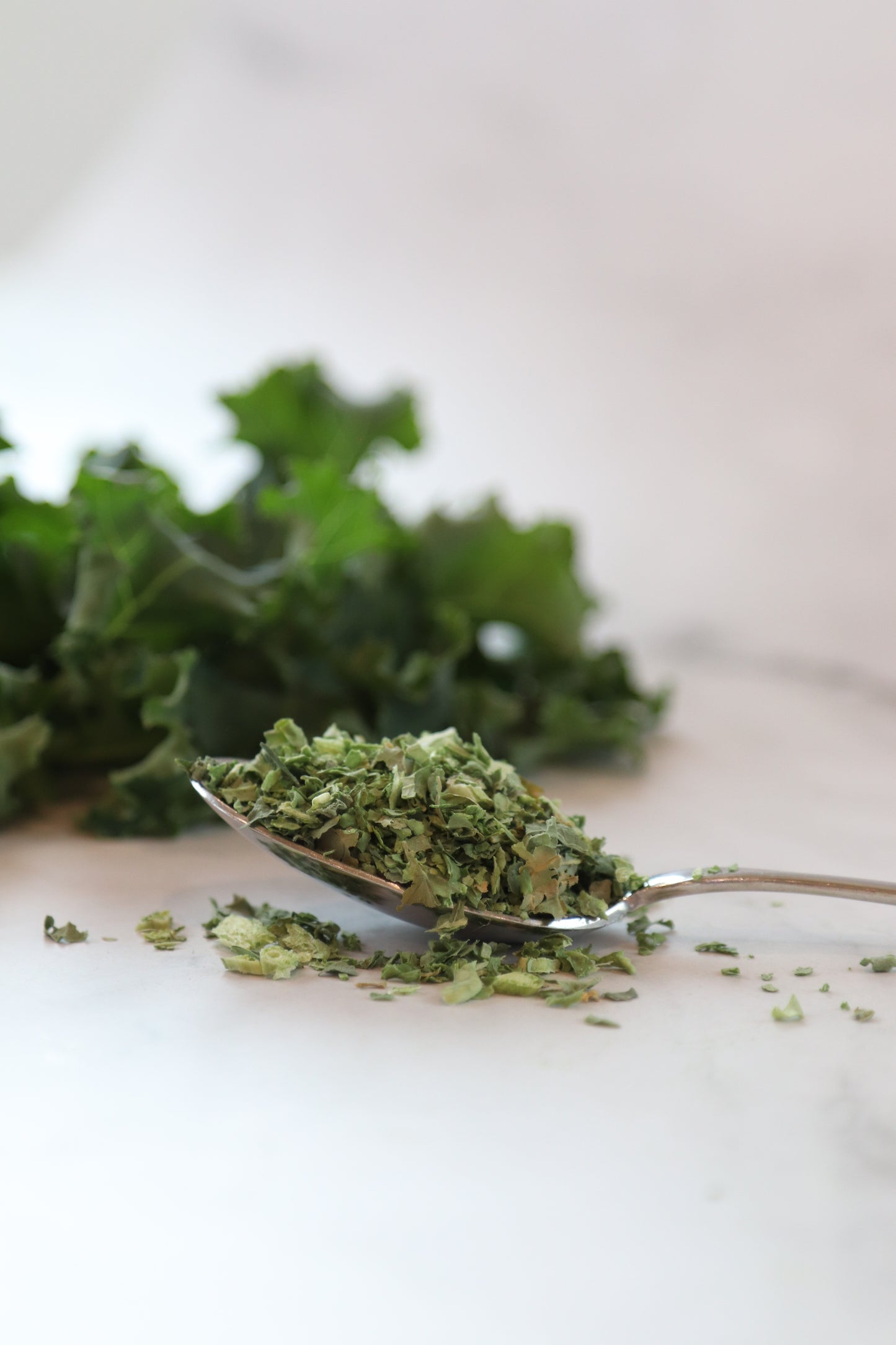 Freeze Dried Kale