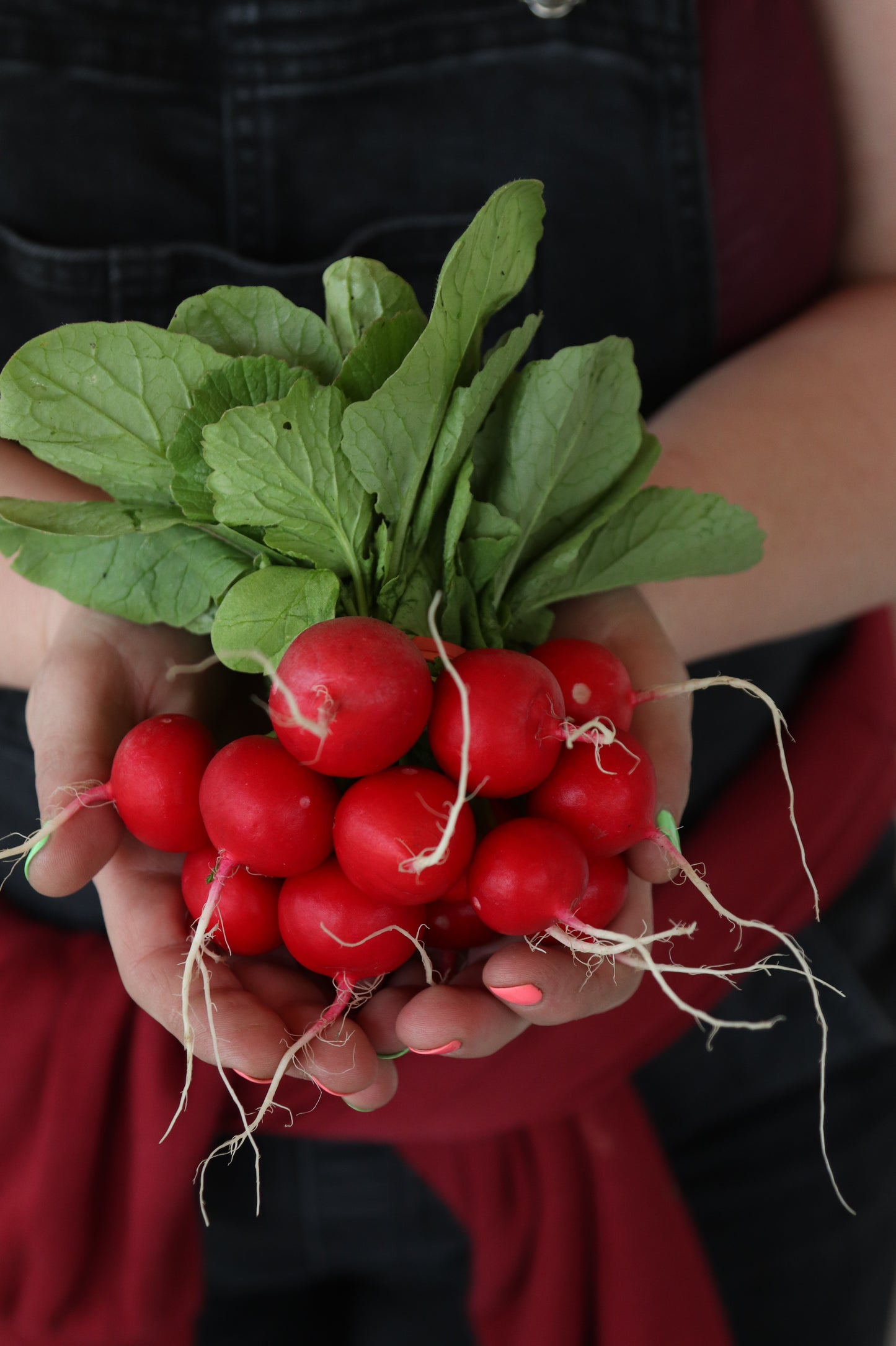Homestead Harvest Box