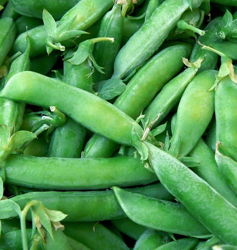 Super Sugar Snap