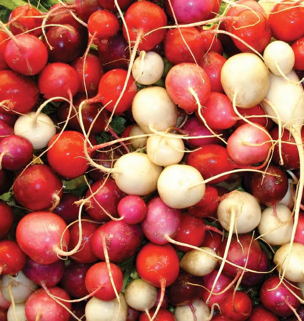 Easter Egg 2 - Radish