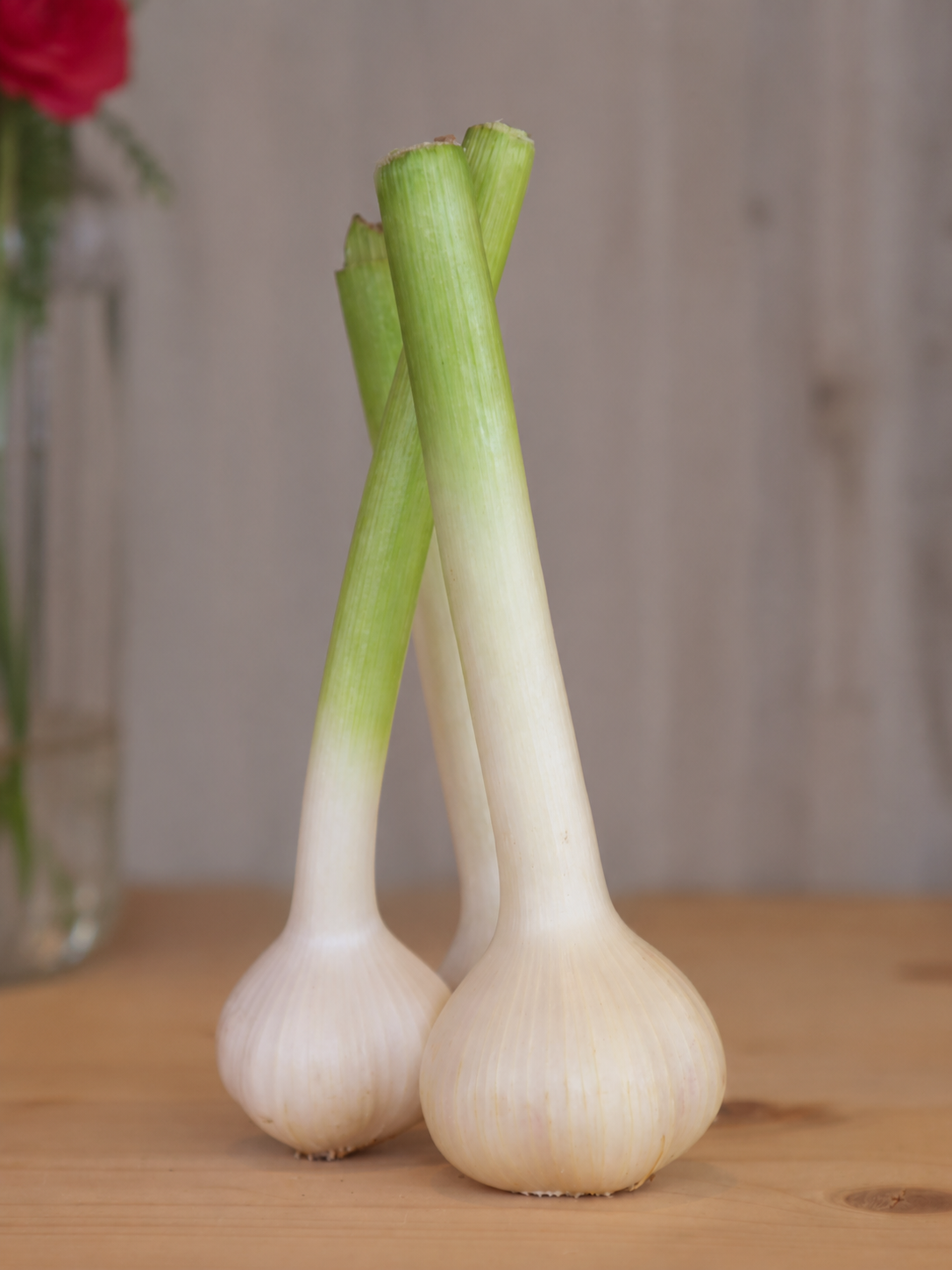 Garlic In The Raw