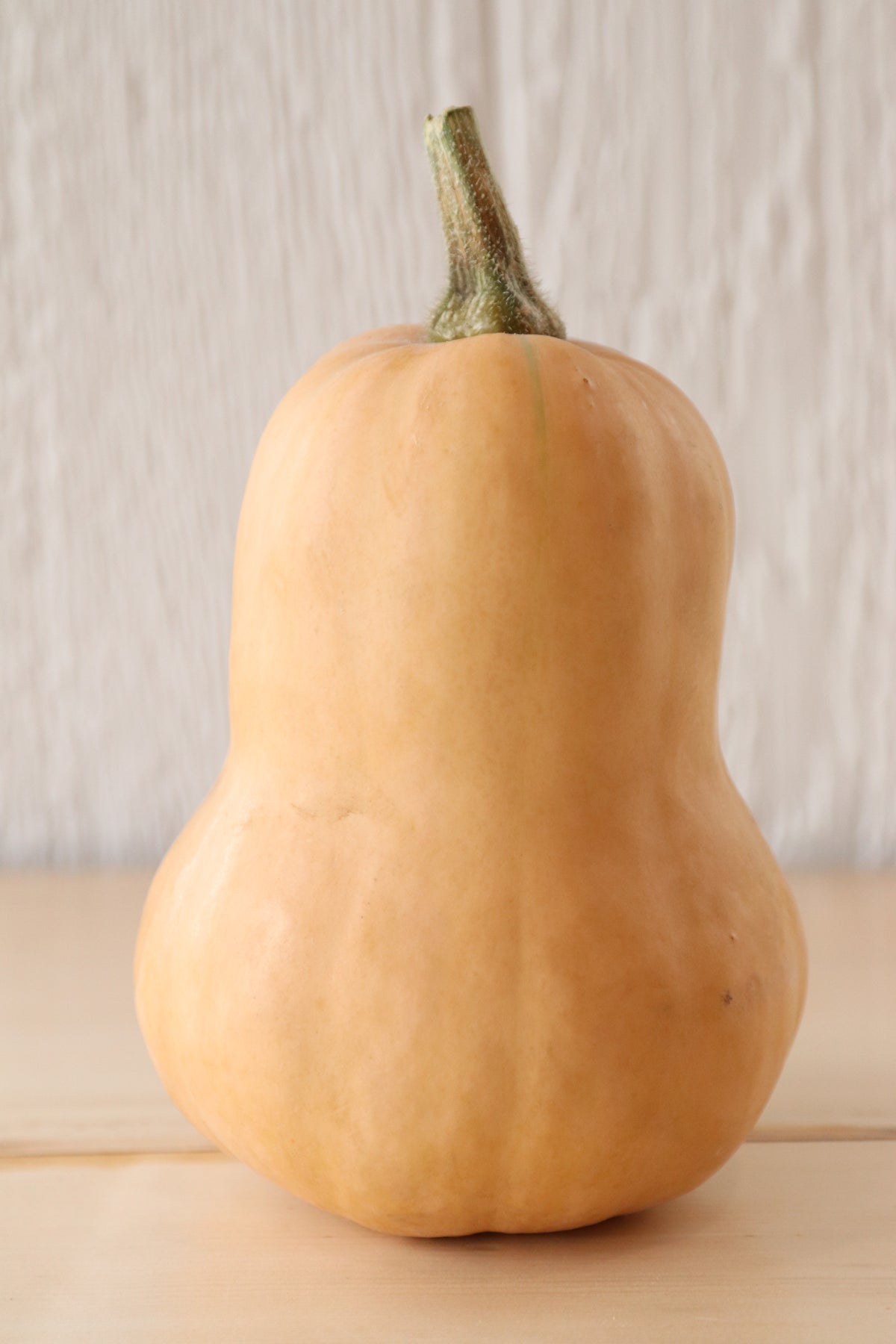 Spaghetti Squash