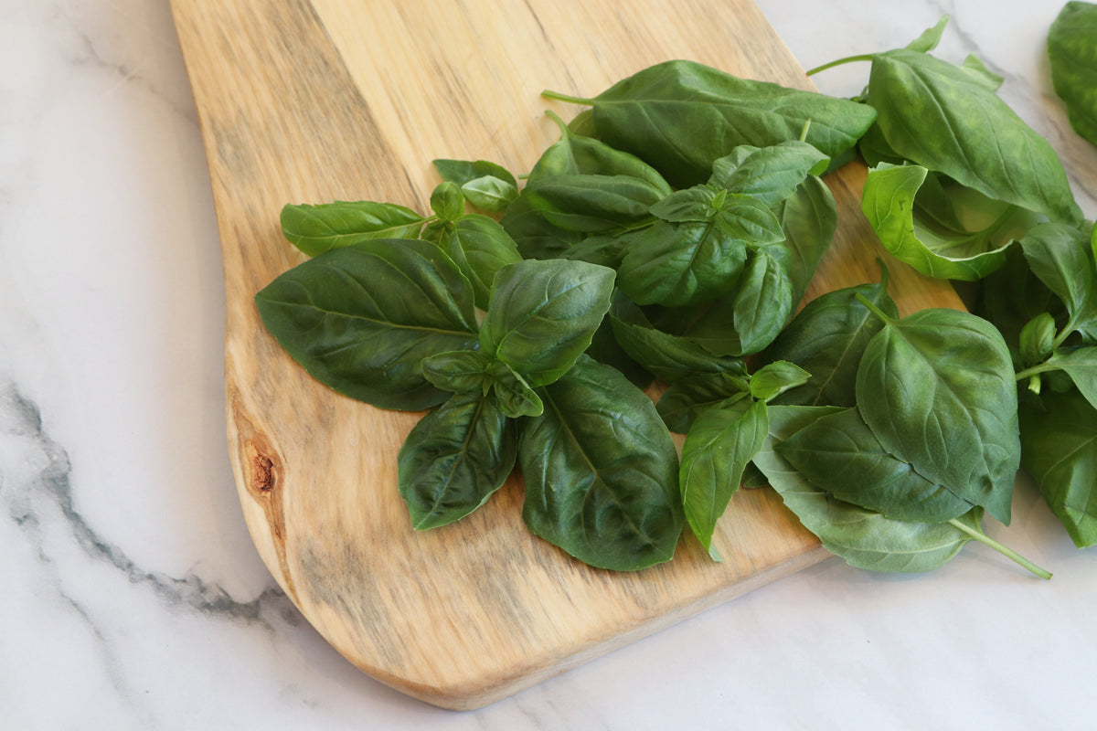 Homestead Hydroponic Basil