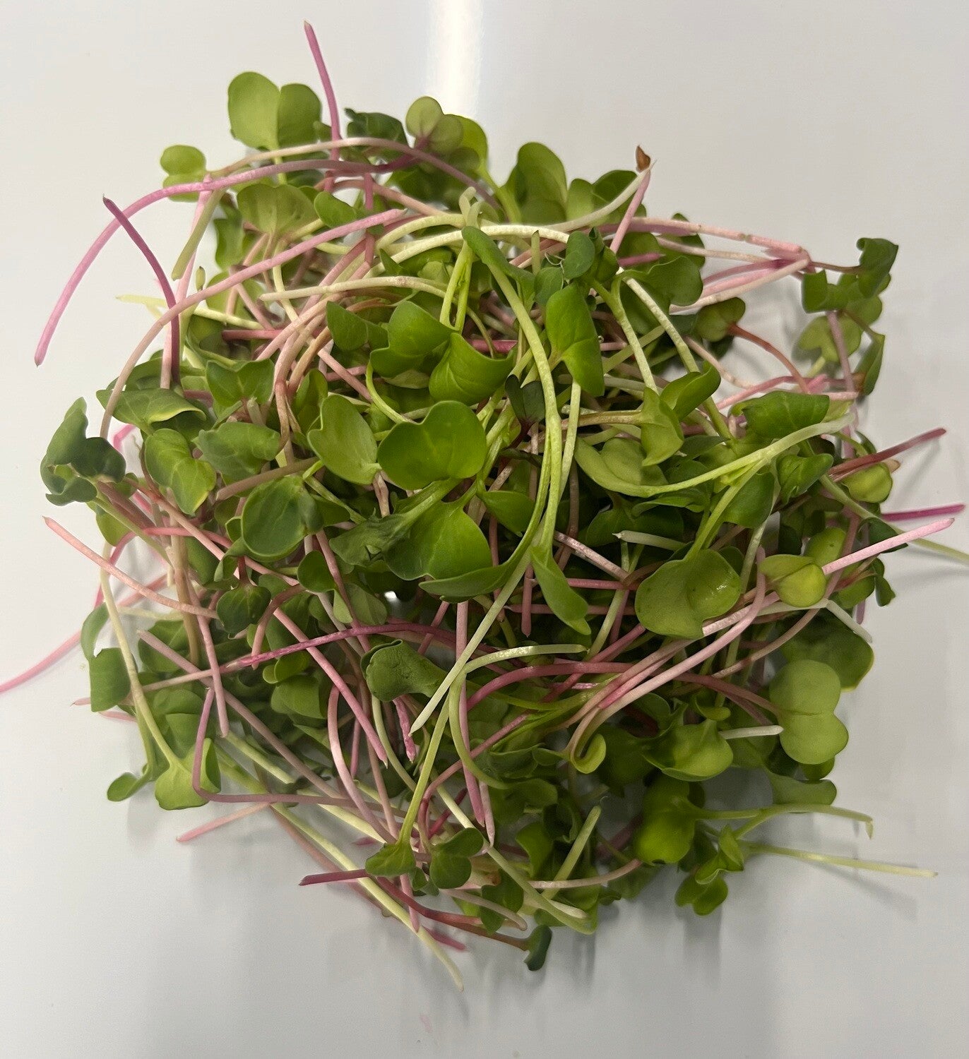 Chef's Blend Microgreen