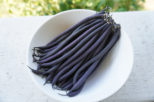Velour - Beans