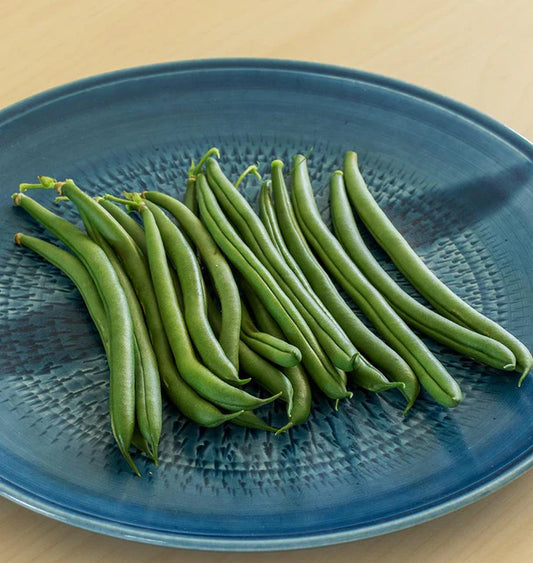 Seychelles Organic Beans