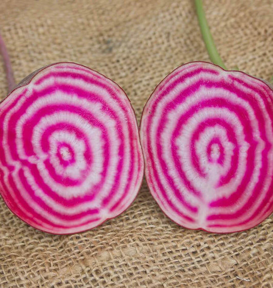 Chioggia Guardsmark Certified Organic - Beets
