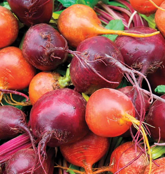 Beet Blend