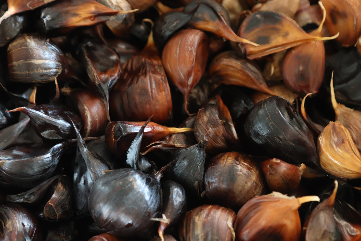 Homestead Black Garlic