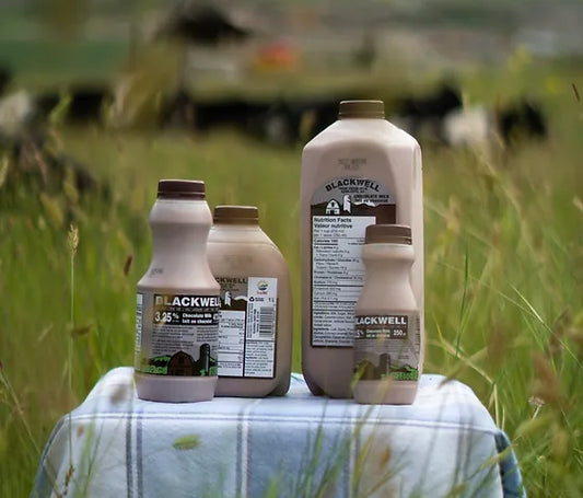 Blackwell Dairy Chocolate Milk