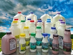 Blackwell Dairy Milks