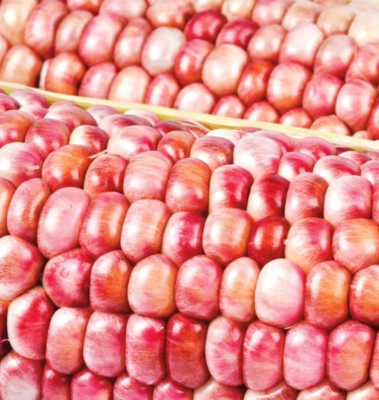 Pink Popcorn