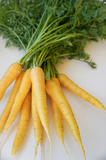 Gold Nugget F1 Carrots