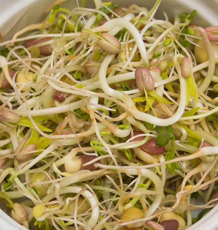 Deluxe Sprouting Seeds Blend Organic