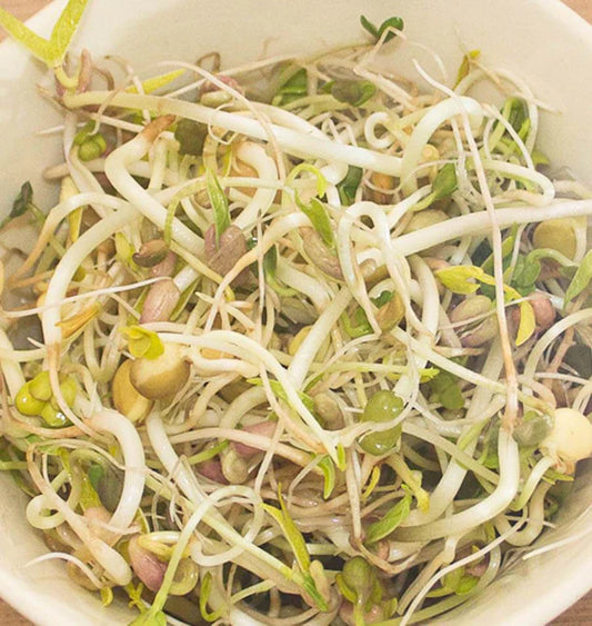 Green Hunter Certified Organic - Sprouts