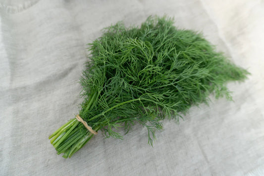 Thalia Dill - Organic