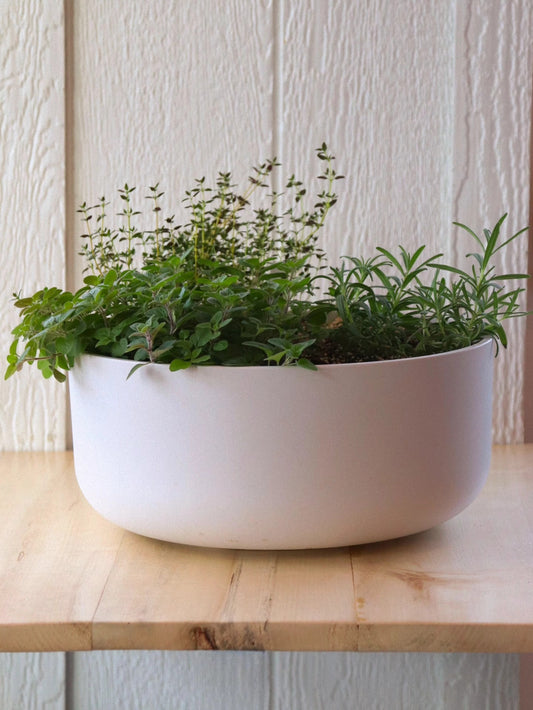 Herb Planter