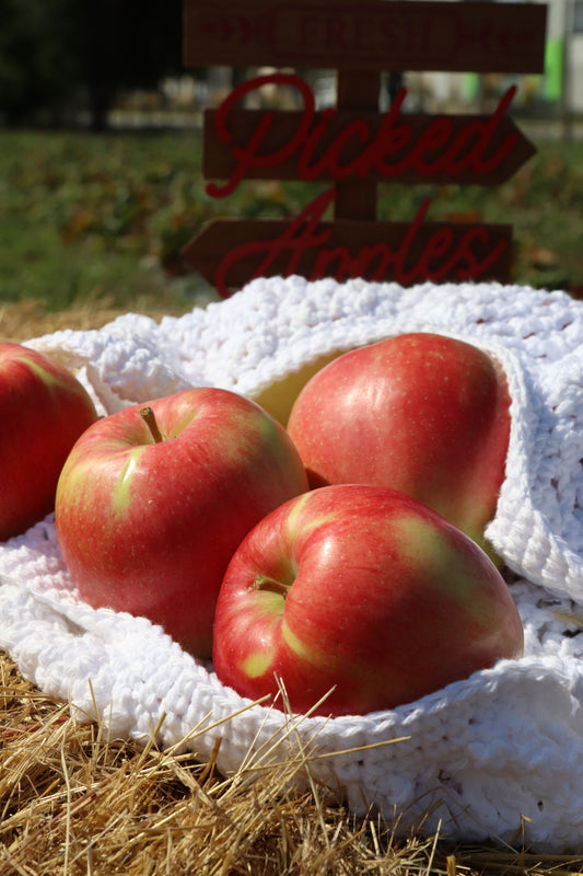 Organic Ambrosia Apples