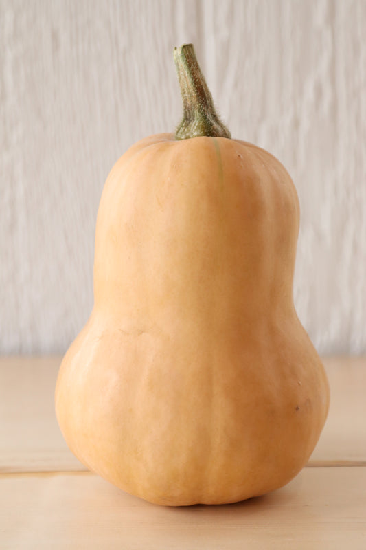 Squash
