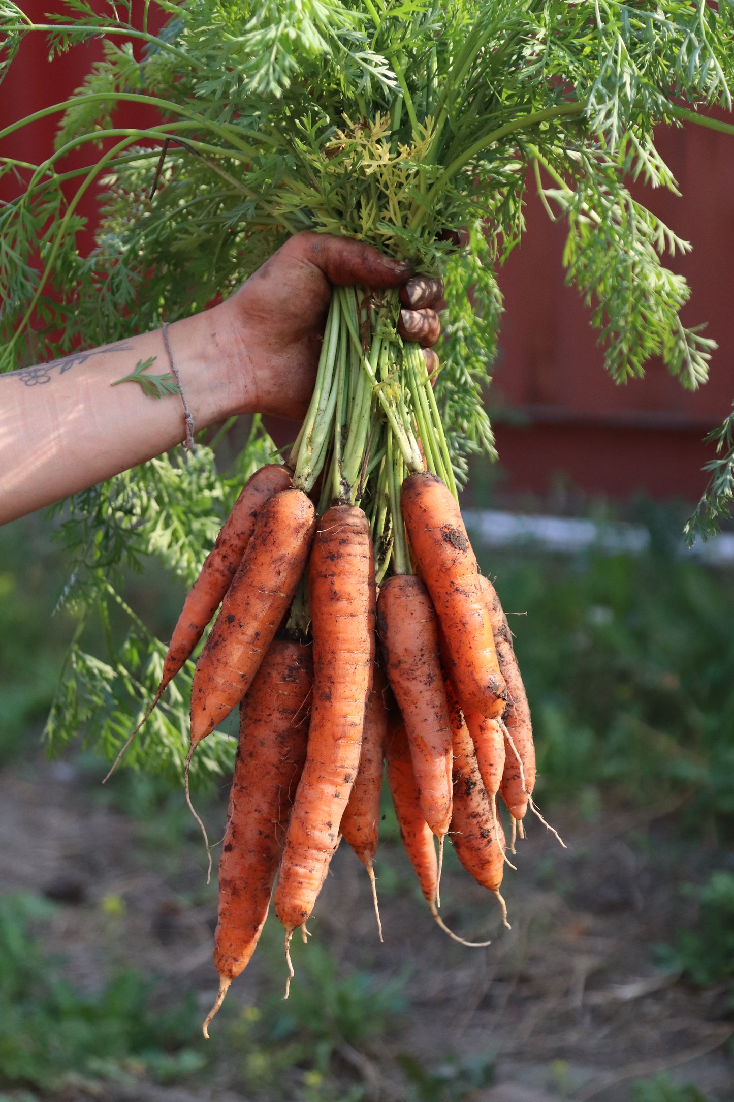 Homestead Harvest Box