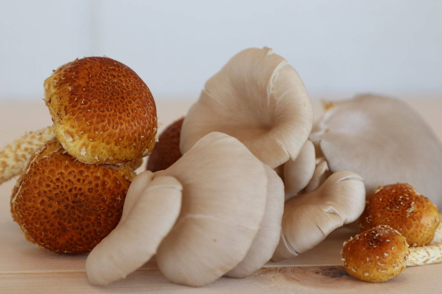 Seasonal Gourmet Mushrooms