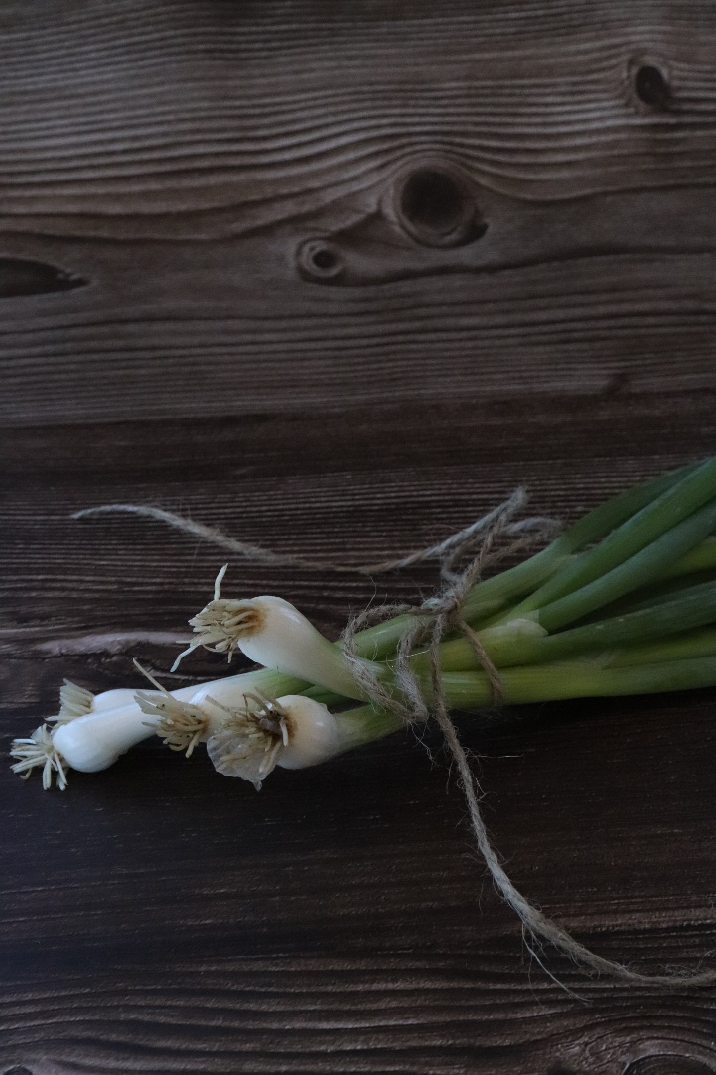 Green Onions