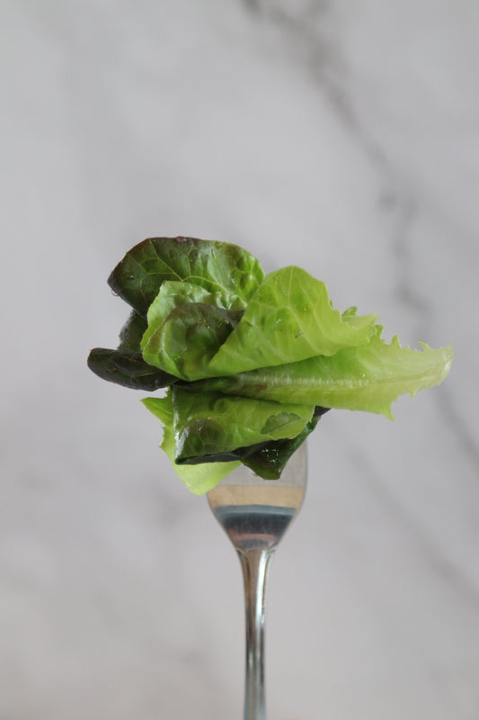 Ready to Eat Lettuce - Container