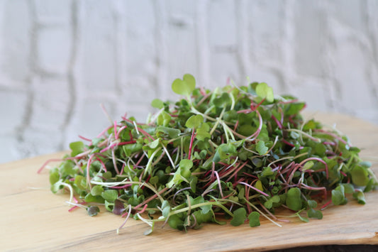 Homestead Foods Microgreens