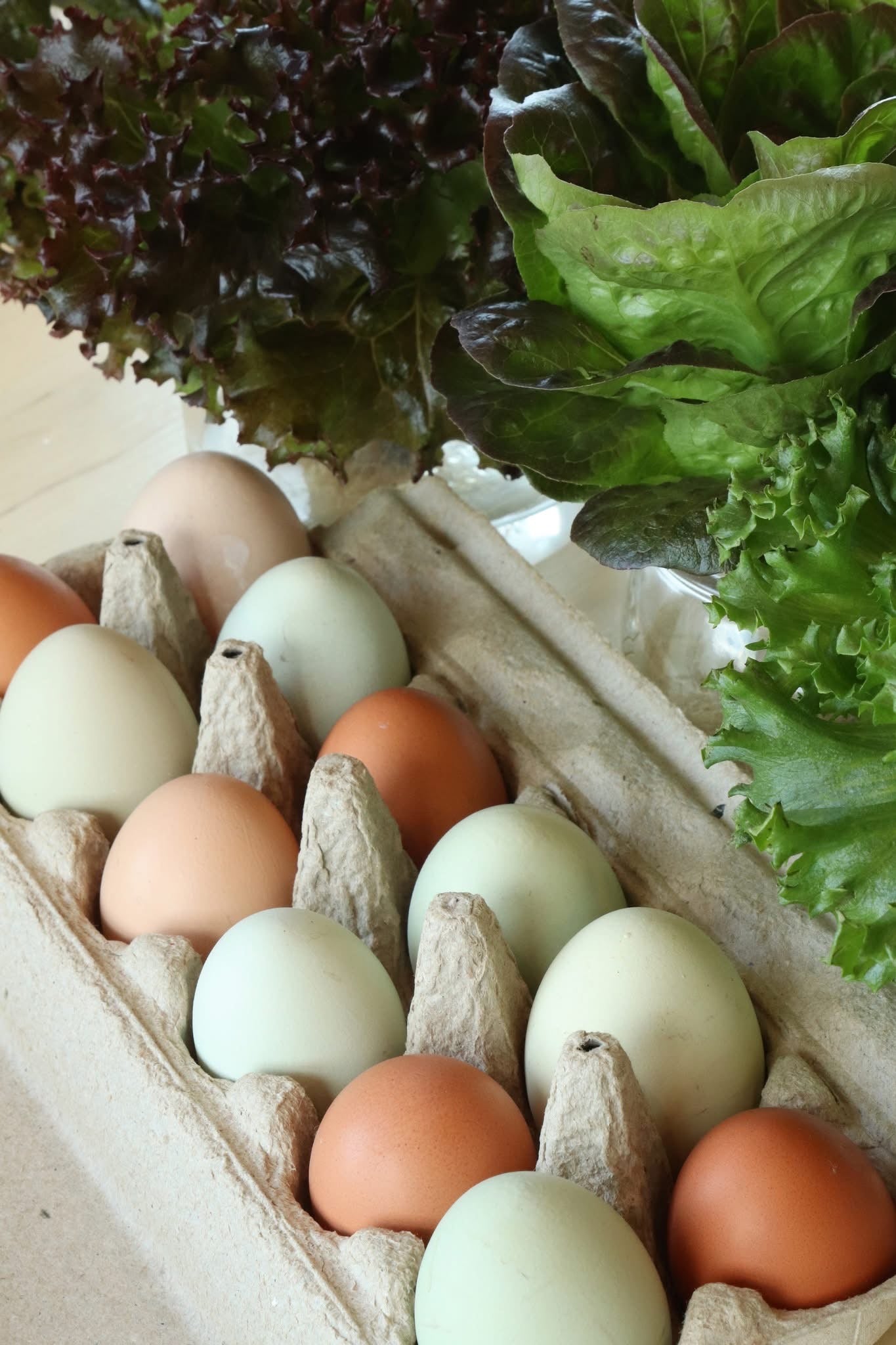 Farm Fresh Free Range Eggs