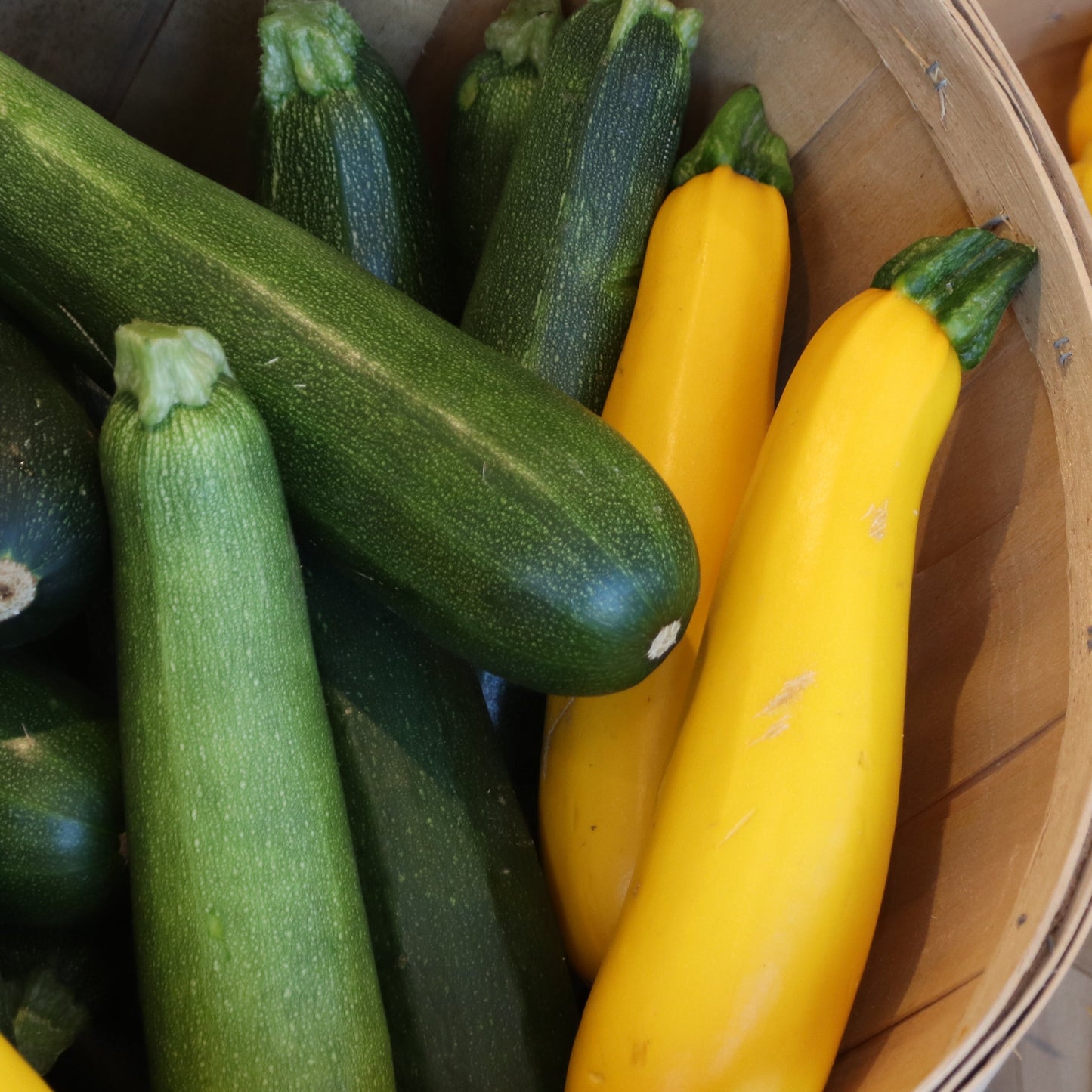 Zucchini