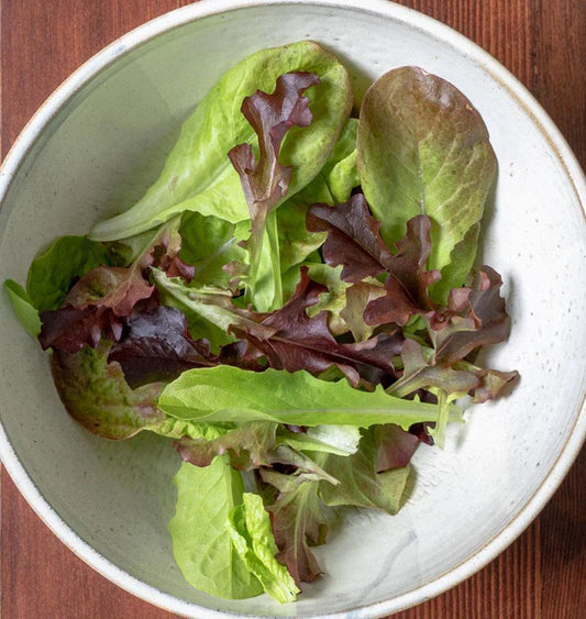 Summer Picnic Pelleted - Lettuce