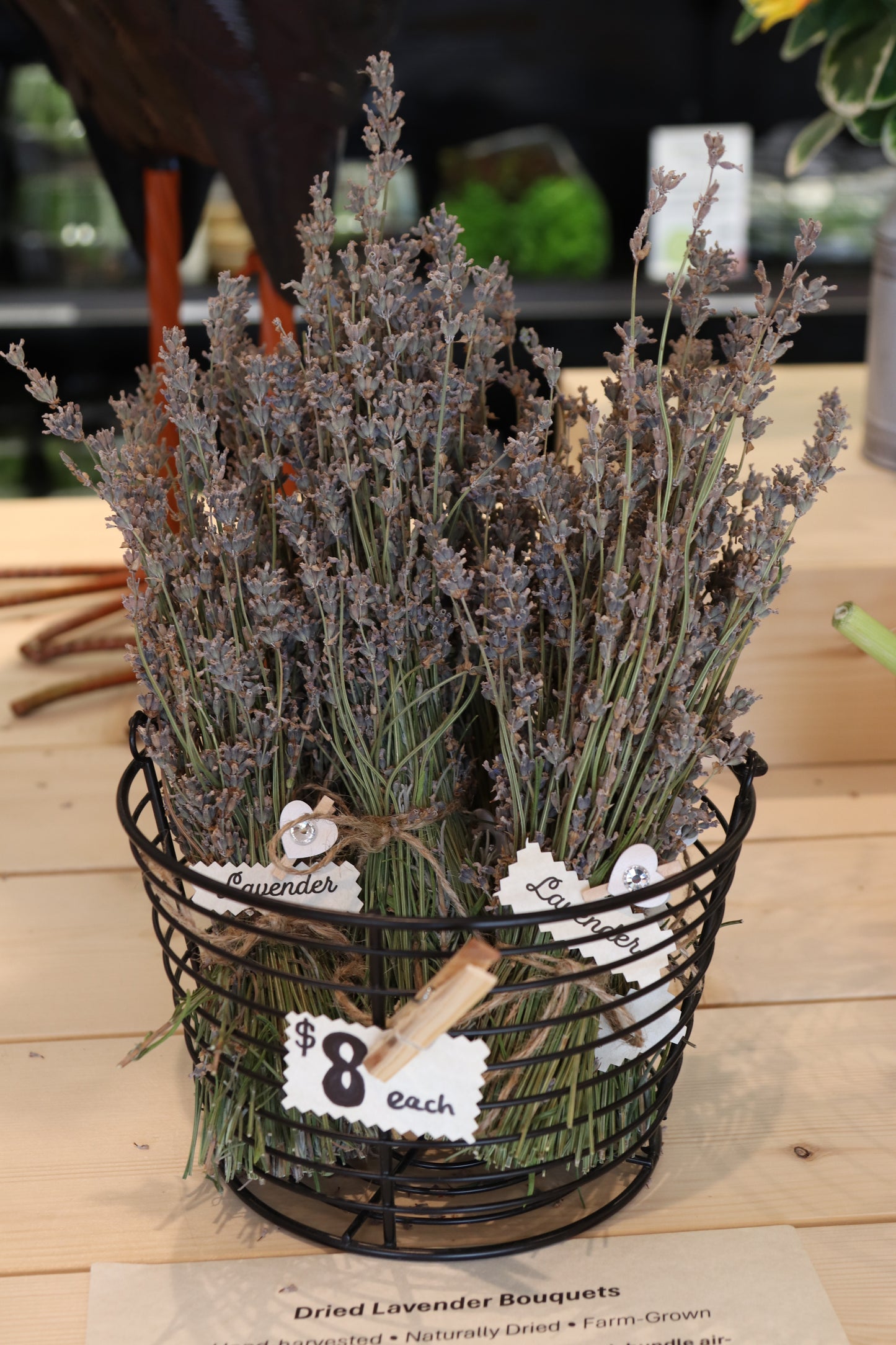 Homestead Foods Lavender Bundle
