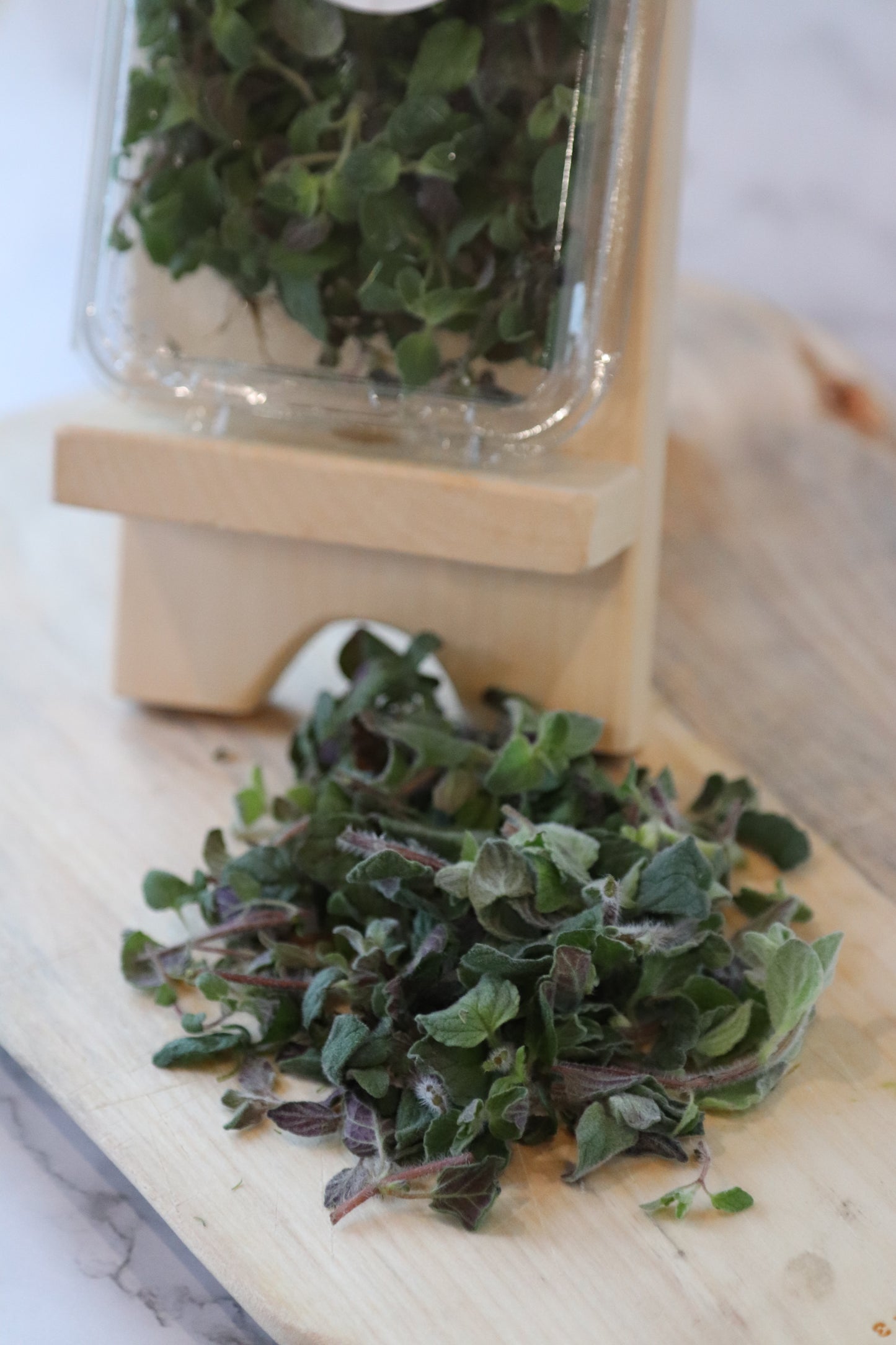 Oregano