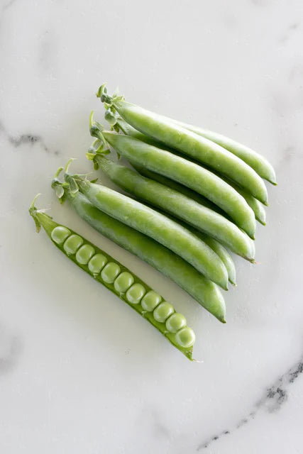 PLS 595 Certified Organic - Peas