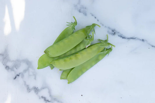 Oregon Sugar Pod II Certified Organic