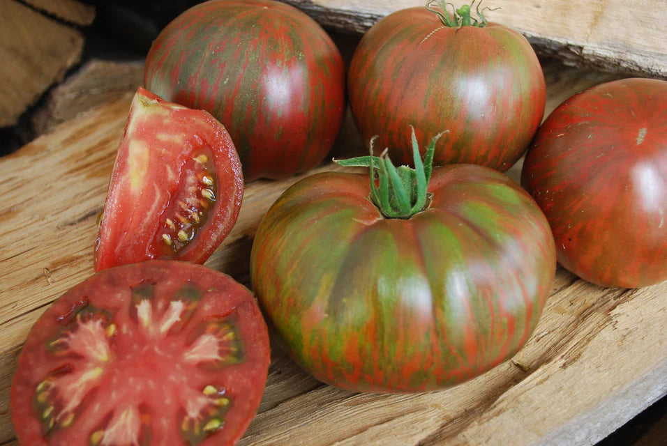 Pink Berkeley Tie Dye - Organic Tomatoes