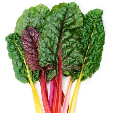 Rainbow Swiss Chard