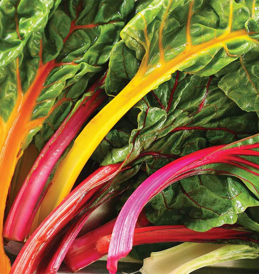 Celebration - Swiss Chard