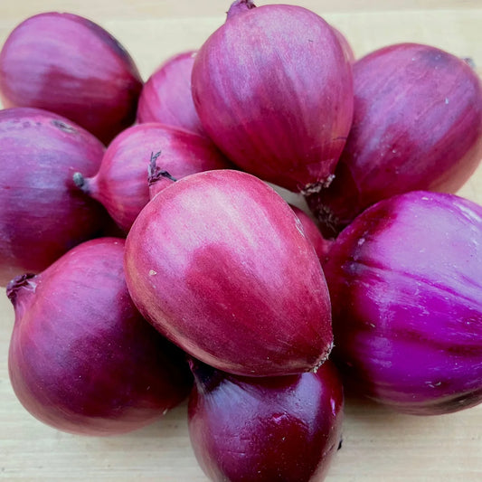 Red Onion