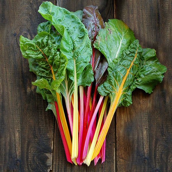 Rainbow Swiss Chard - Certified Organic