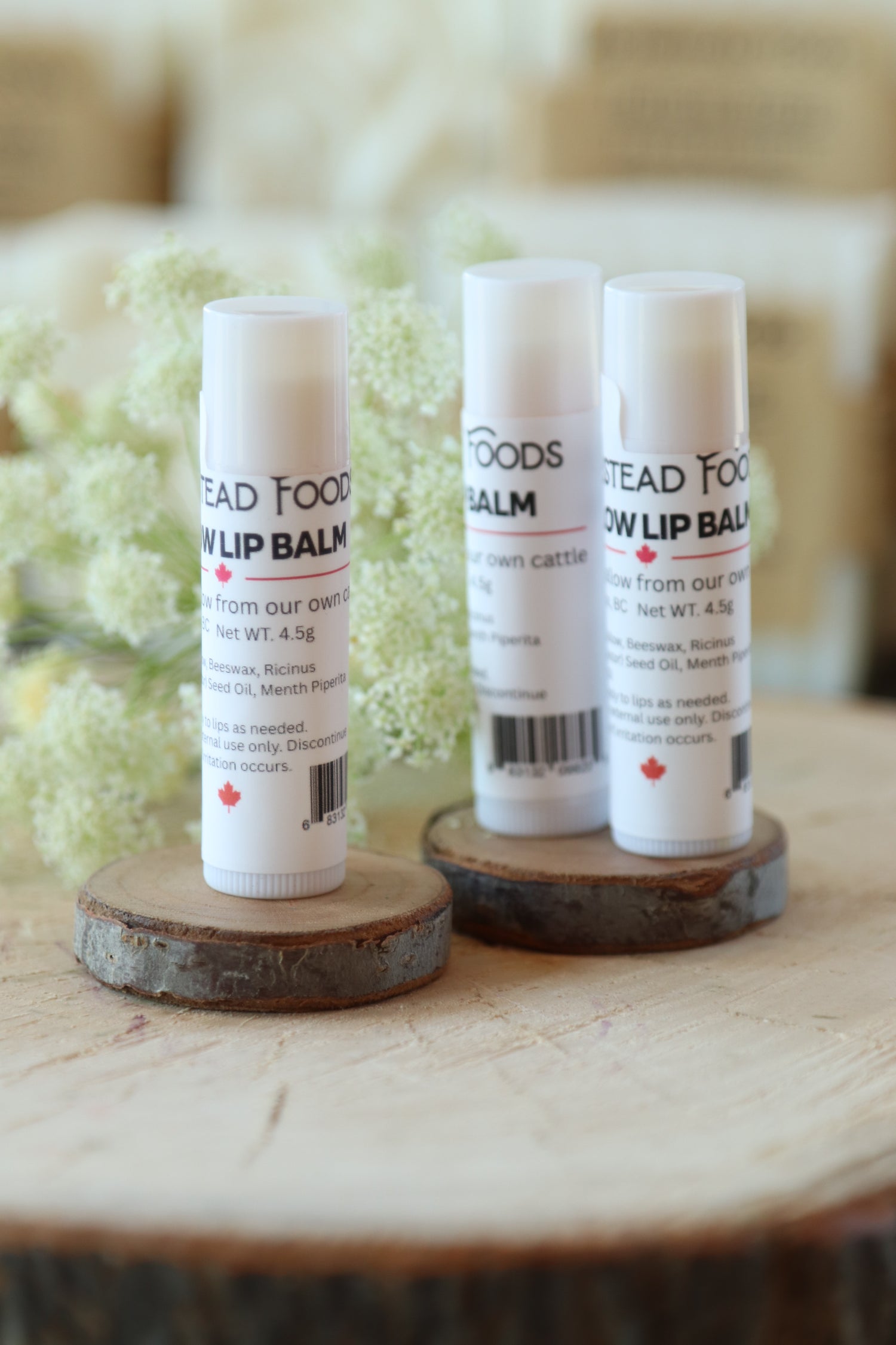 Three white tubes of Homestead Tallow lip balm arranged on small round wooden slices with blurred pale flowers in the background.