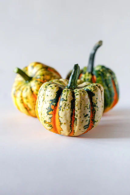 Thriller F1 - Squash