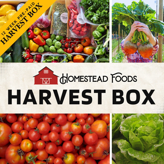Homestead Harvest Box