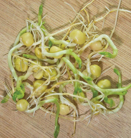 Green Peas Certified Organic - Sprouts