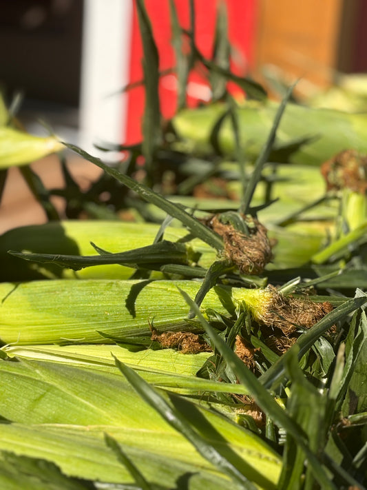 Corn